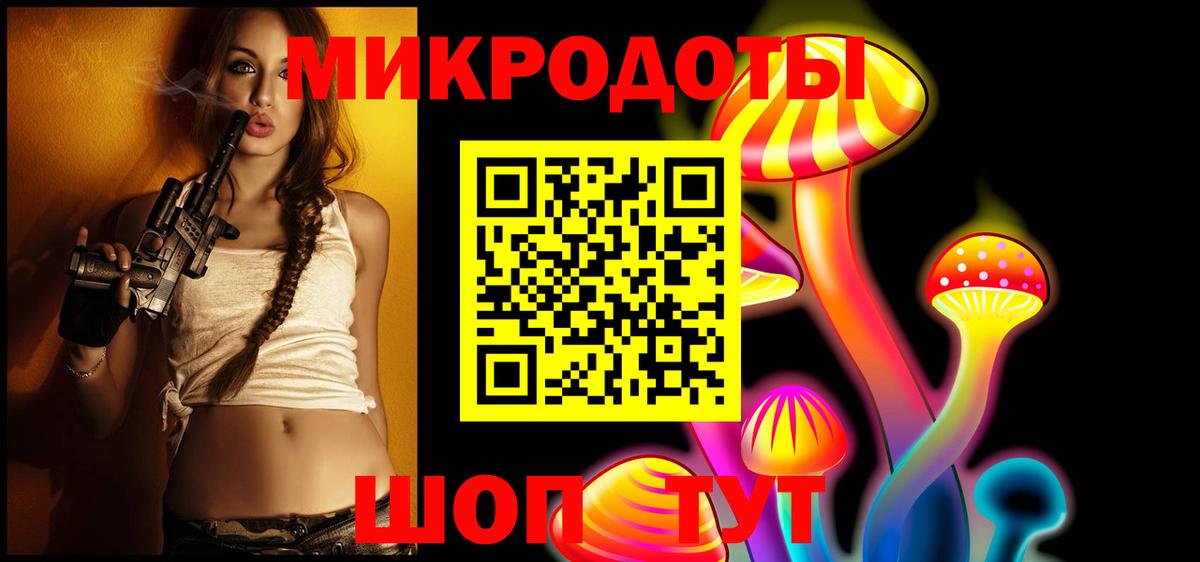 Галлюциногенные грибы Psilocybe Берёзовский