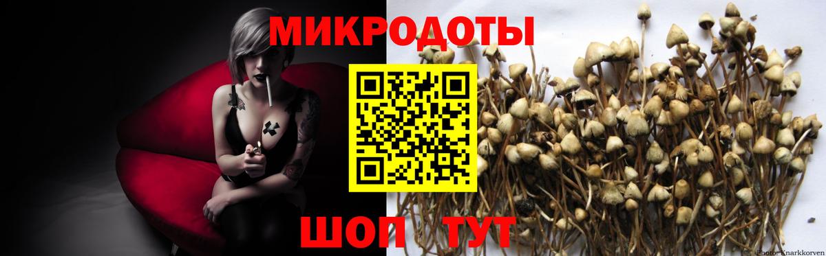 Галлюциногенные грибы Psilocybe  Псилоцибиновые грибы Magic Shrooms  Берёзовский  Вход с VPN 